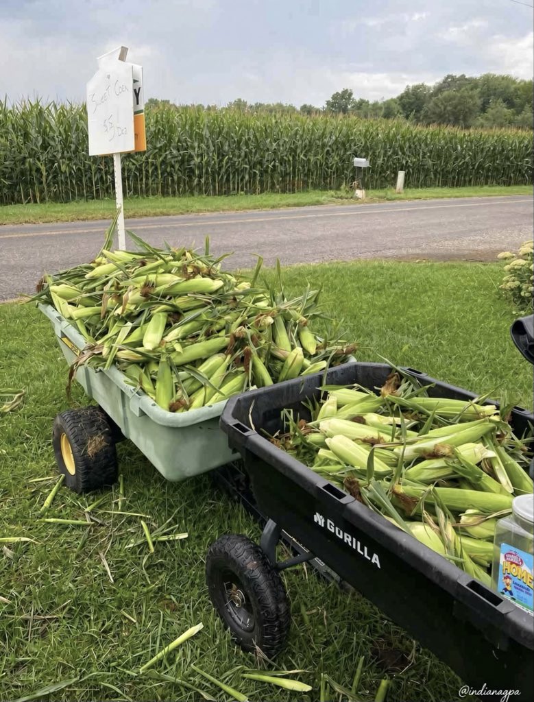 The Honest Rural Indiana Farm Stand